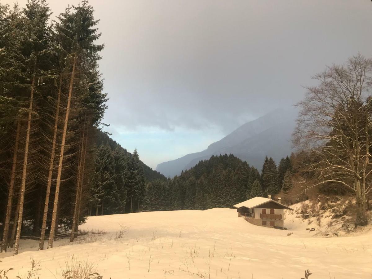 Genzianella Molveno-Andalo Appartement Buitenkant foto
