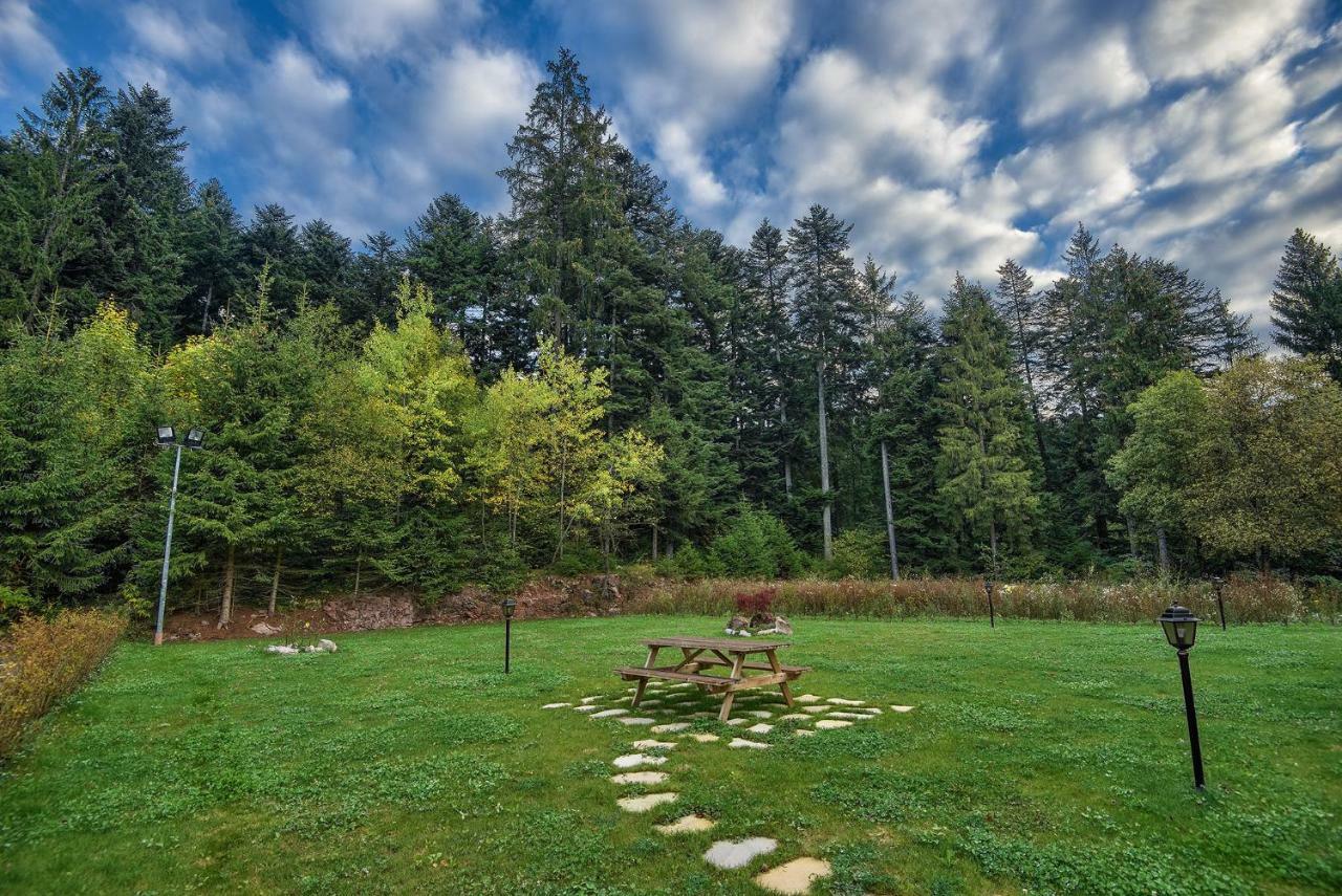 Genzianella Molveno-Andalo Appartement Buitenkant foto